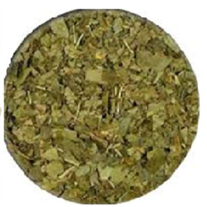 Bulk gingko Biloba tea