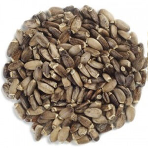Bulk milk Thistle seed Tea