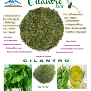 Cilantro (Coriandrum sativum) Tea