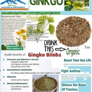ORGANIC GINKGO BILOBA