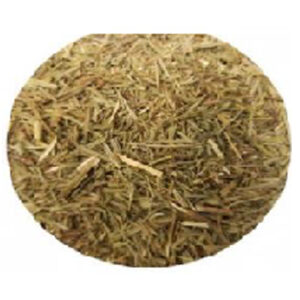 Horsetail-Shave grass