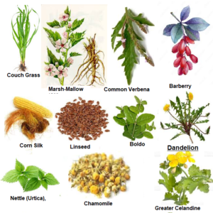 Mehwer Gallstone Herbal Tea