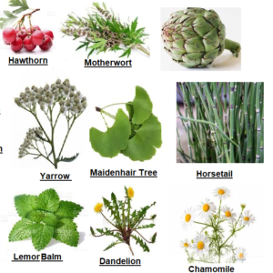 Mehwer Heart Herbal Mix