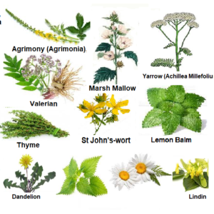 Mehwer Irritable Bowel Syndrome Herbal Mix