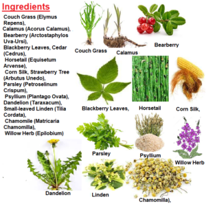 Mehwer Prostrates Herbal Blend