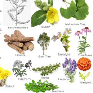 Mehwer Spring Allergies Herbal Mix