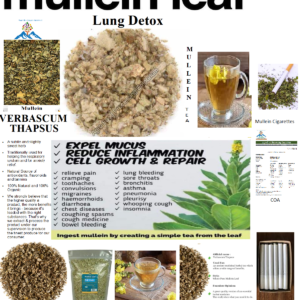 Organic Mullein herb