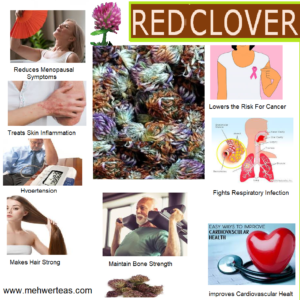 ORGANIC  RED CLOVER TOPS