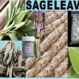ORGANIC SAGE HERB