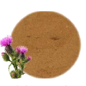 Organic Burdock Root Powder