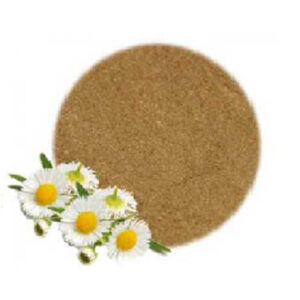 Chamomile Flower Powder