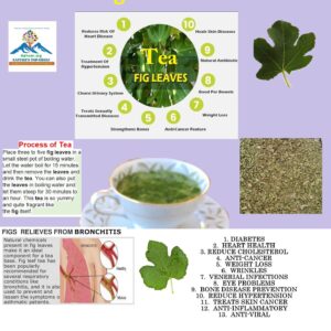 Fig Leaf Tea