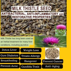 ORGANIC MILK THISTLE SEEDS