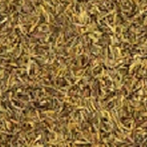 Organic Thyme