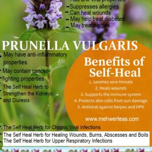 Organic-Self Heal (prunella vulgaris)