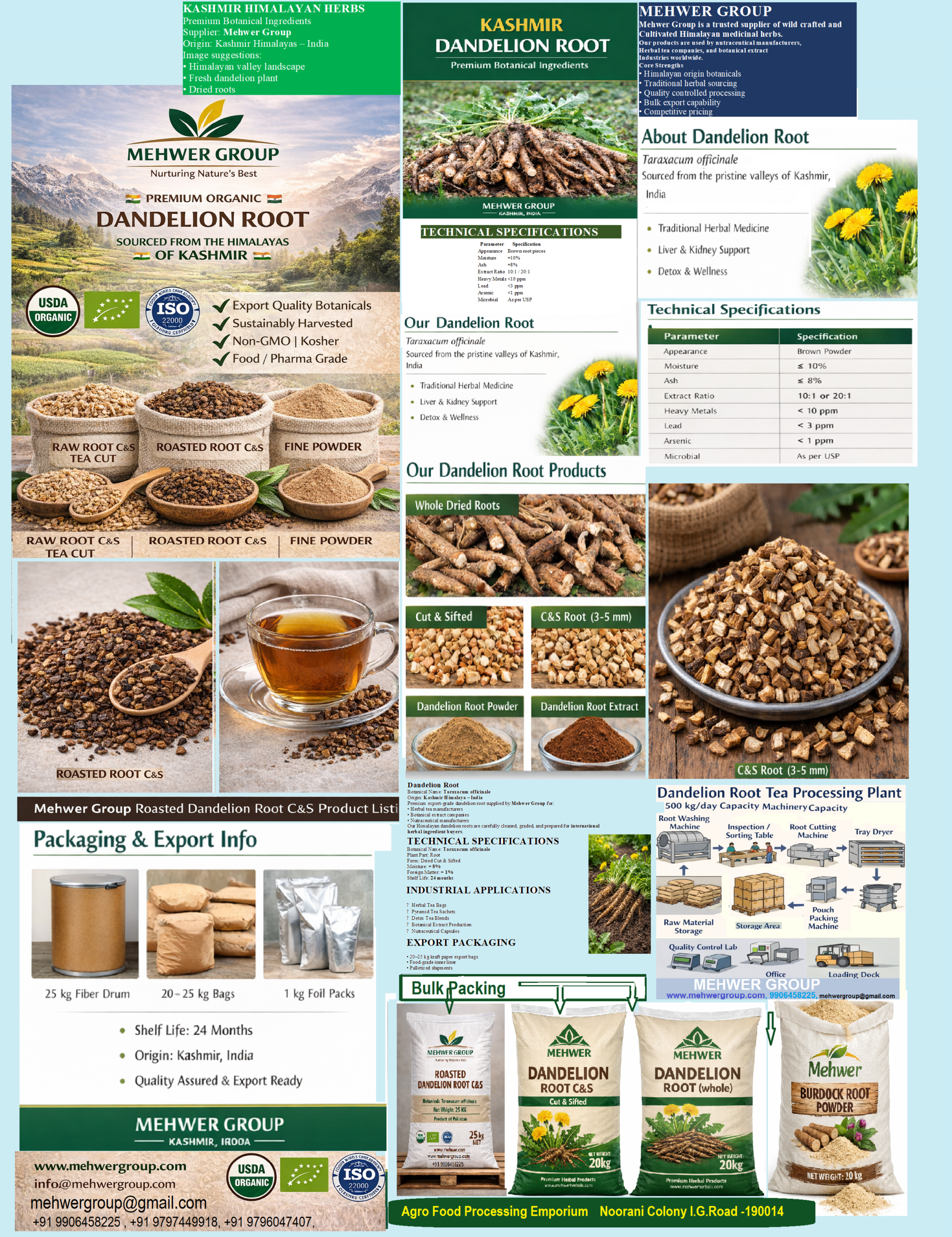 DANDELION ROOT CATALOUGE-