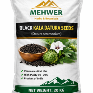 Black-Kala-Datura-seeds.
